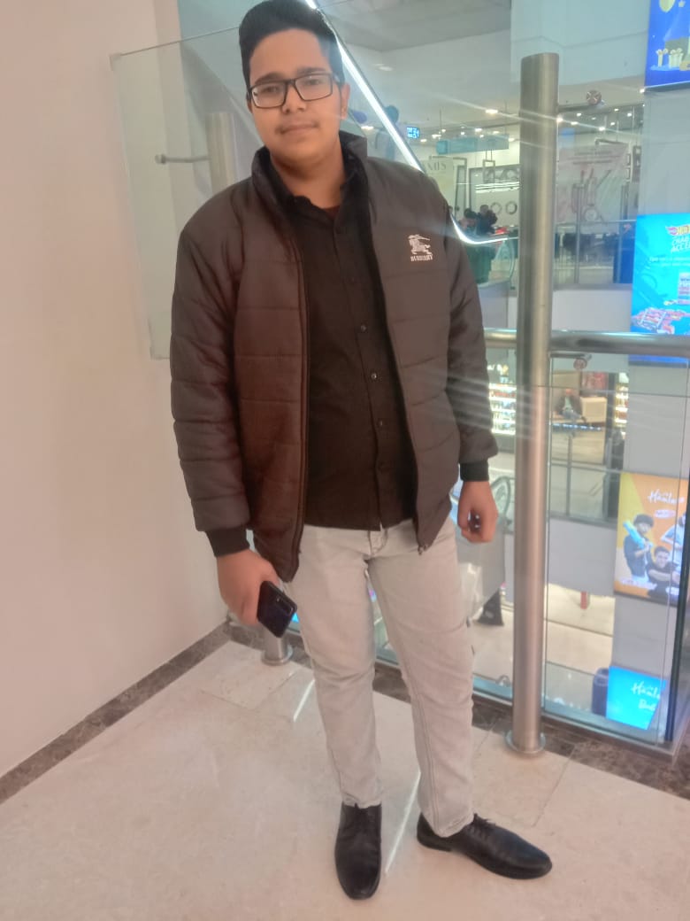 CEO - Ujjwal Saxena